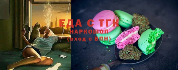 гашик Михайлов