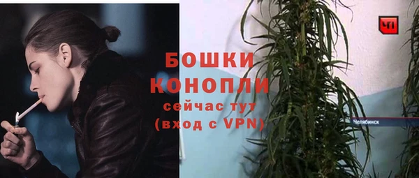 гашик Михайлов