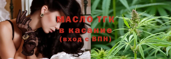 гашик Михайлов