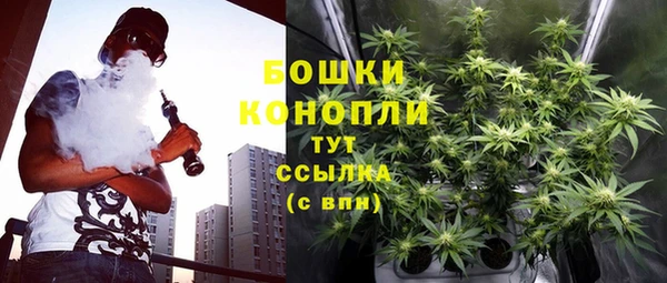 гашик Михайлов
