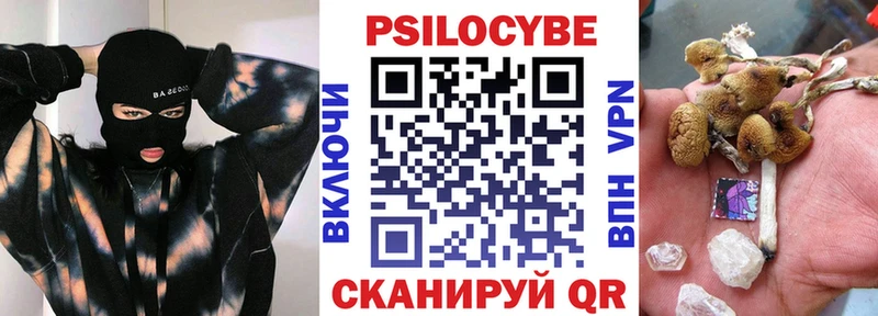 Галлюциногенные грибы Psilocybe  Партизанск 